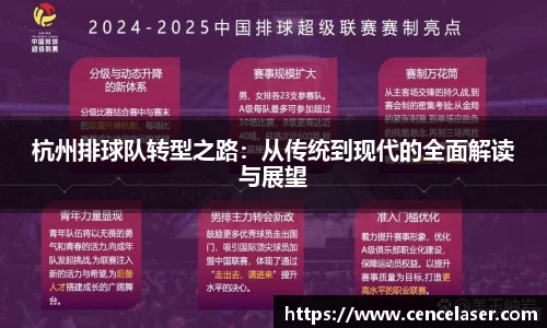 杭州排球队转型之路：从传统到现代的全面解读与展望