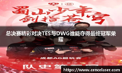 总决赛精彩对决TES与DWG谁能夺得最终冠军荣耀
